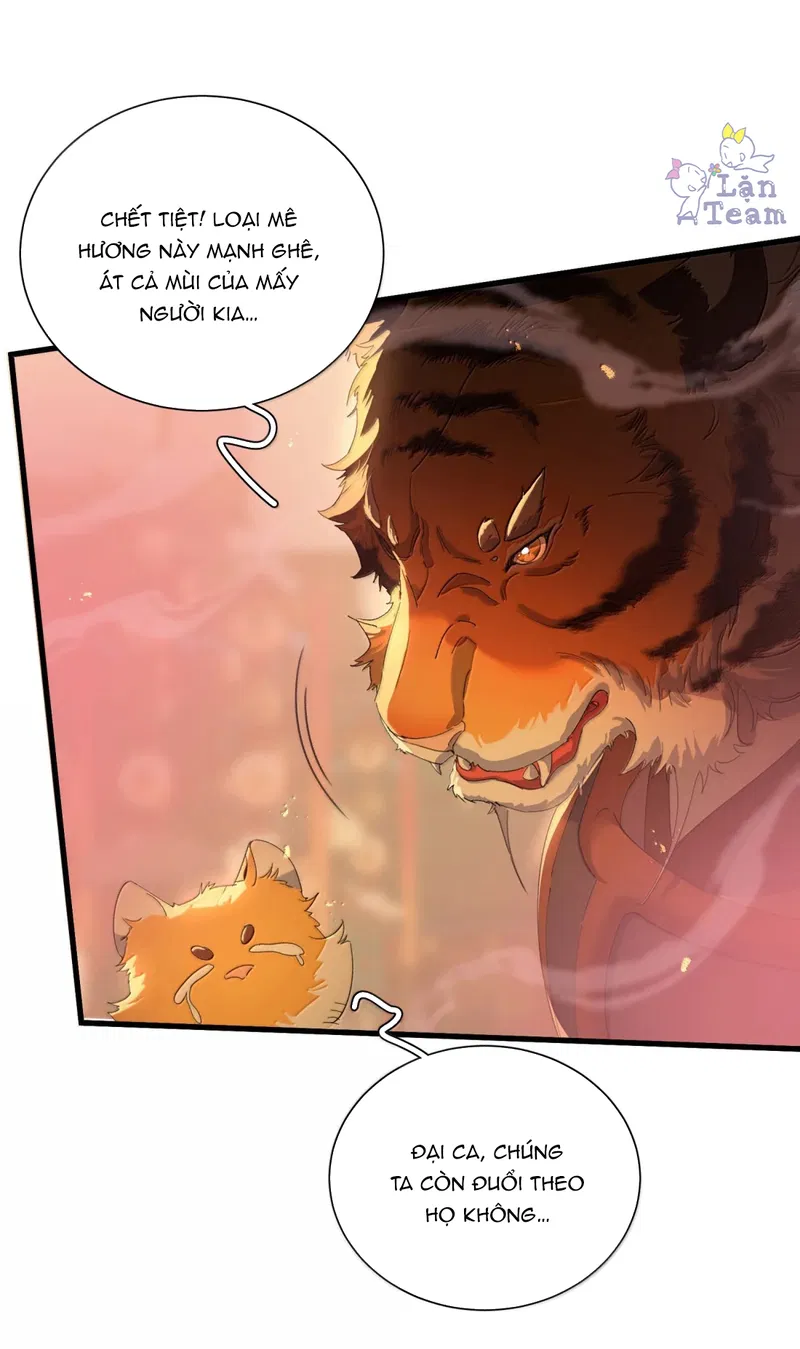 Kế Hoạch Tẩu Thoát Chapter 52 - Trang 2