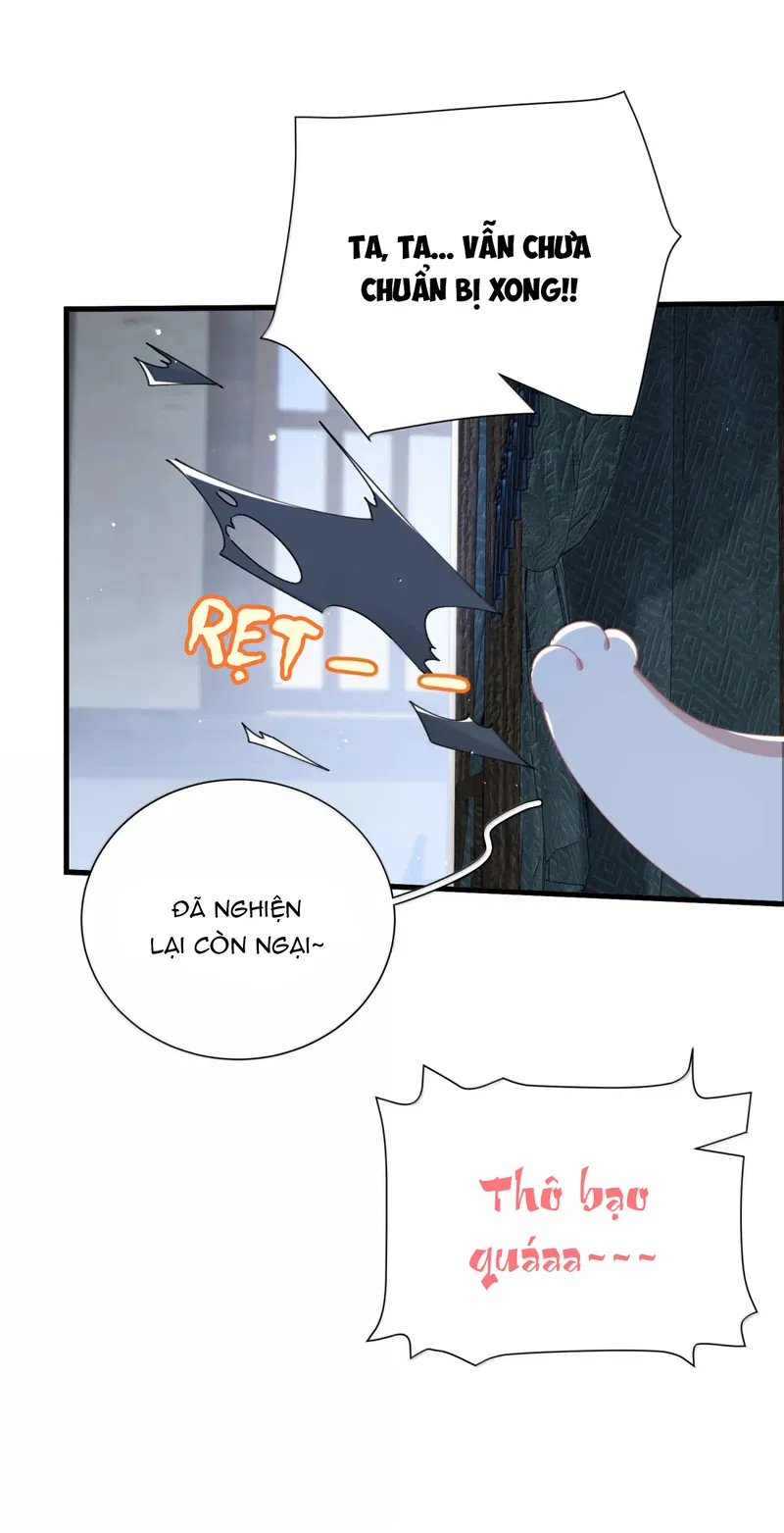 Kế Hoạch Tẩu Thoát Chapter 63 - Trang 2