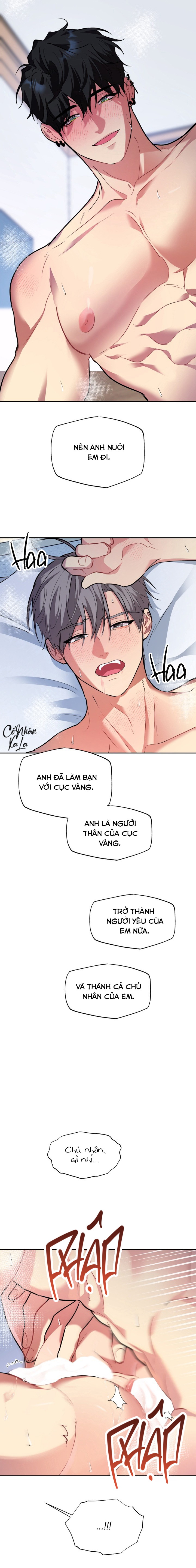 Chú cún và nồi hơi ấm Chapter 10 - Next 