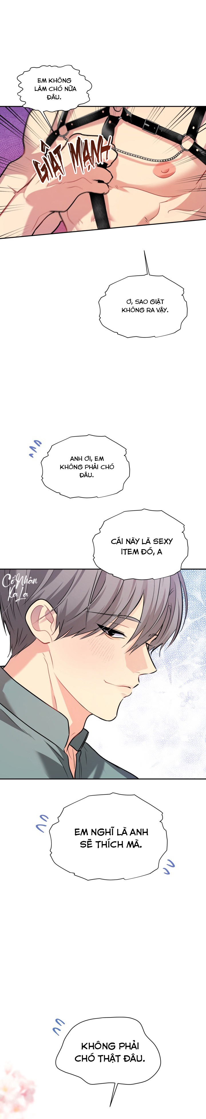 Chú cún và nồi hơi ấm Chapter 10 - Next 