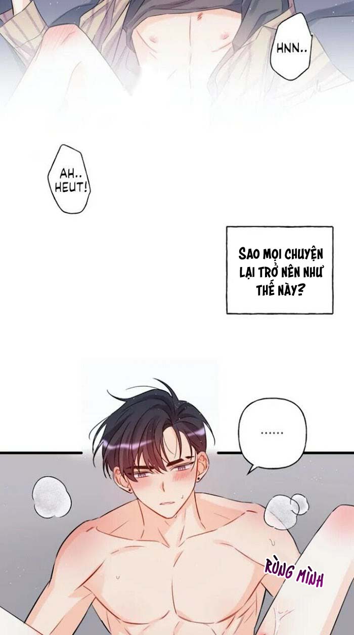 Dưới Ánh Hào Quang Chapter 1 - Next Chapter 2