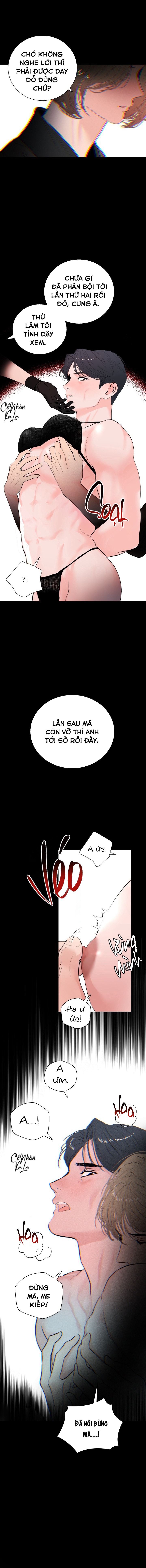 Daddy X của tôi Chapter 3 - Next Chapter 4