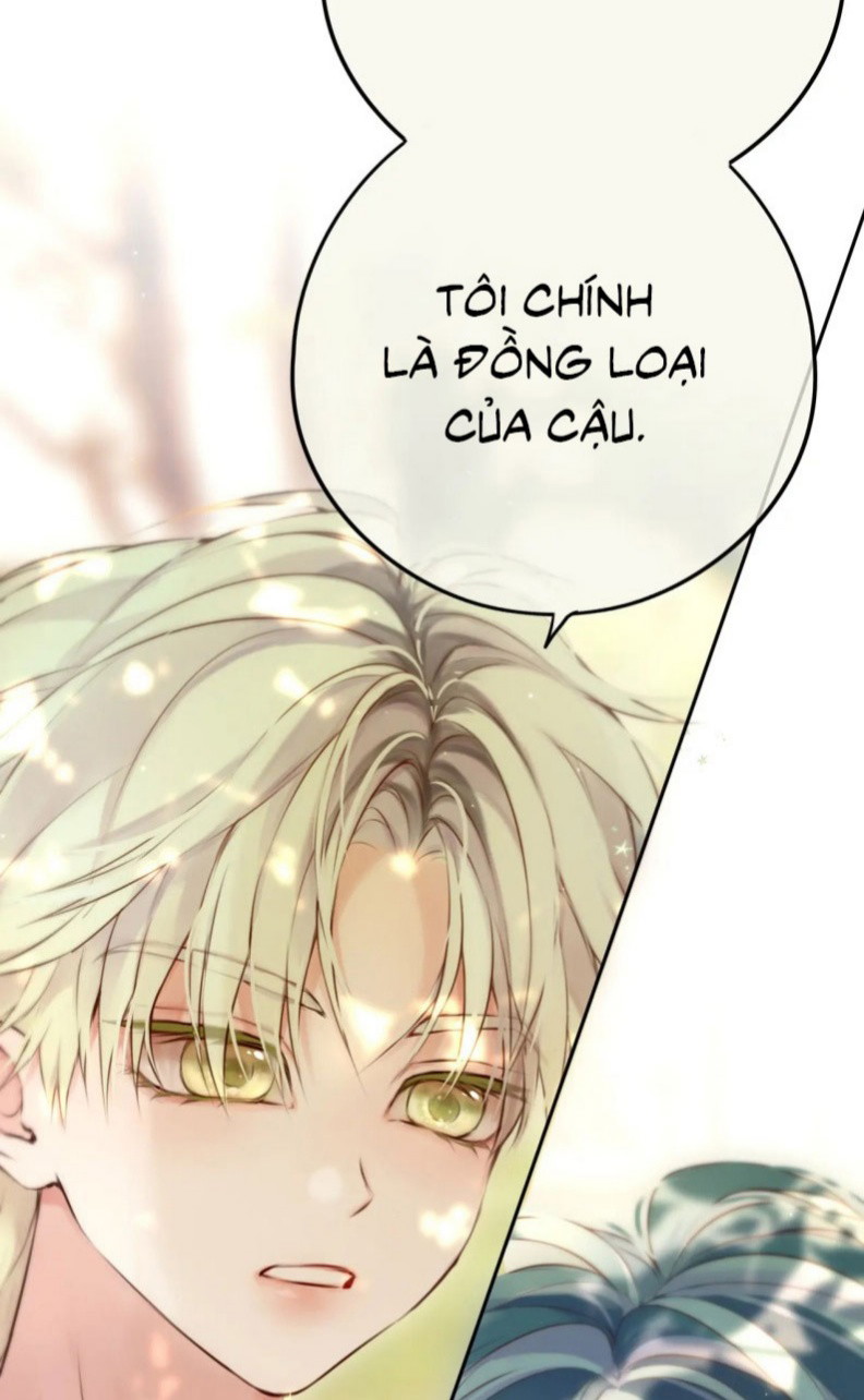 Hoặc Tinh Chi Mục Chap 20 - Next Chap 21