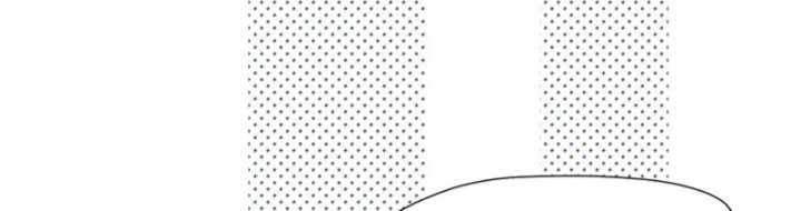 Dựa Vào Bạn Thân Từ Nhỏ Tôi Trở Thành Đỉnh Cấp Hướng Đạo Chapter 49 - Trang 2