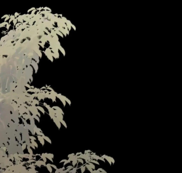 Phệ Chủ Chap 25 - Next Chap 26