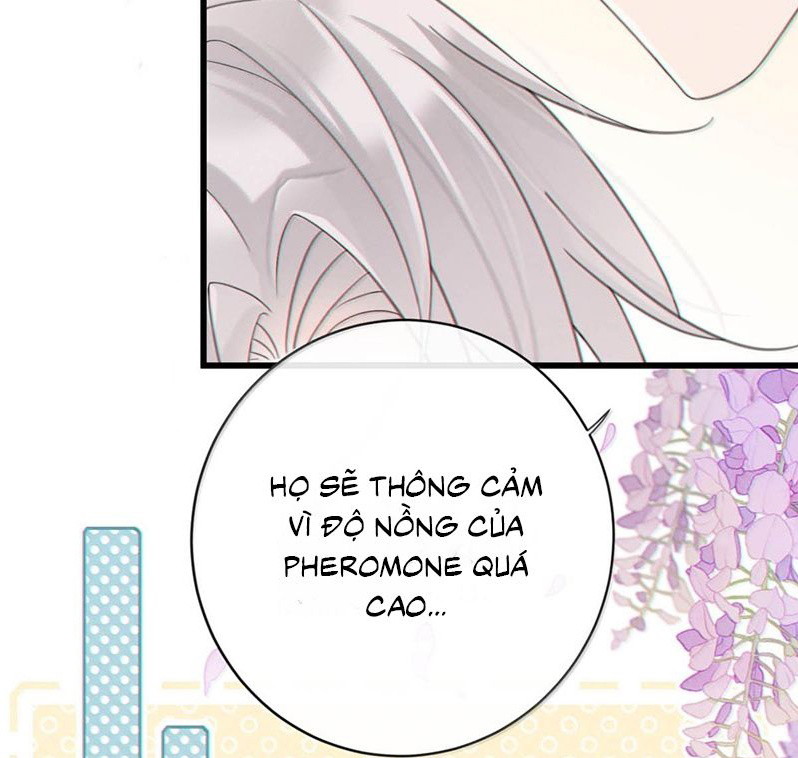 Nồng Đậm Tin Tức Tố Chap 18 - Next Chap 19