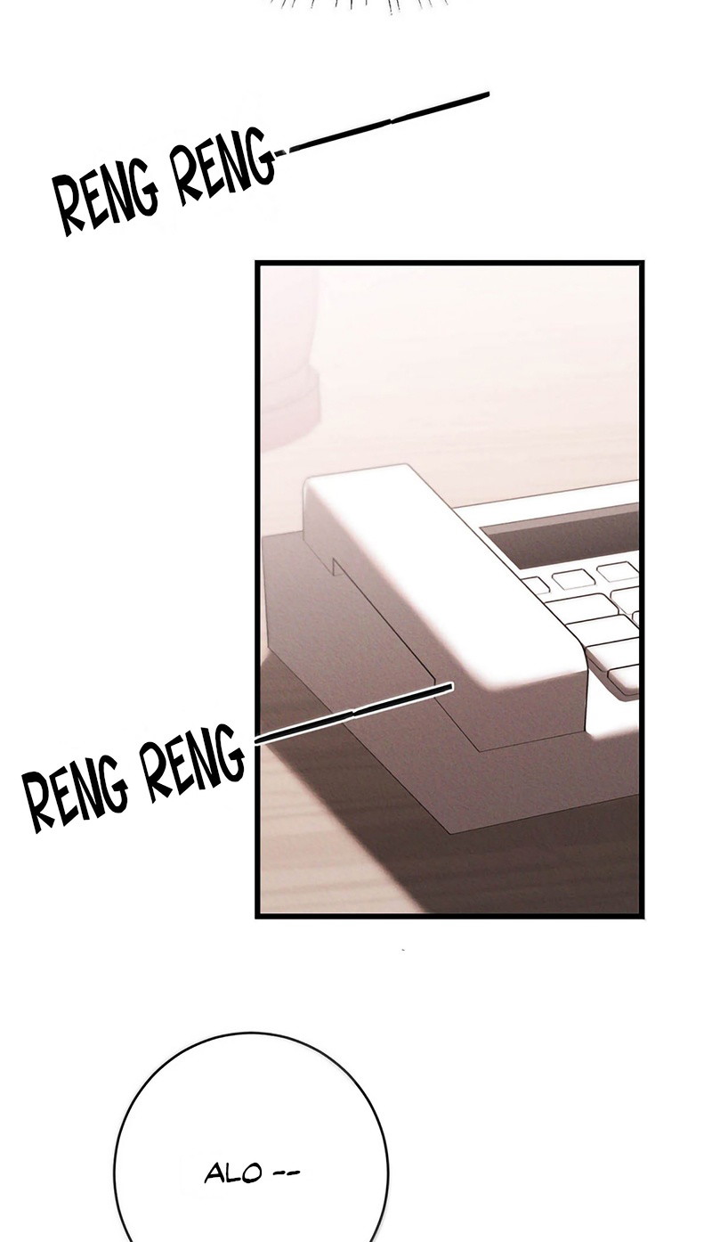 Nồng Đậm Tin Tức Tố Chapter 42 - Trang 2