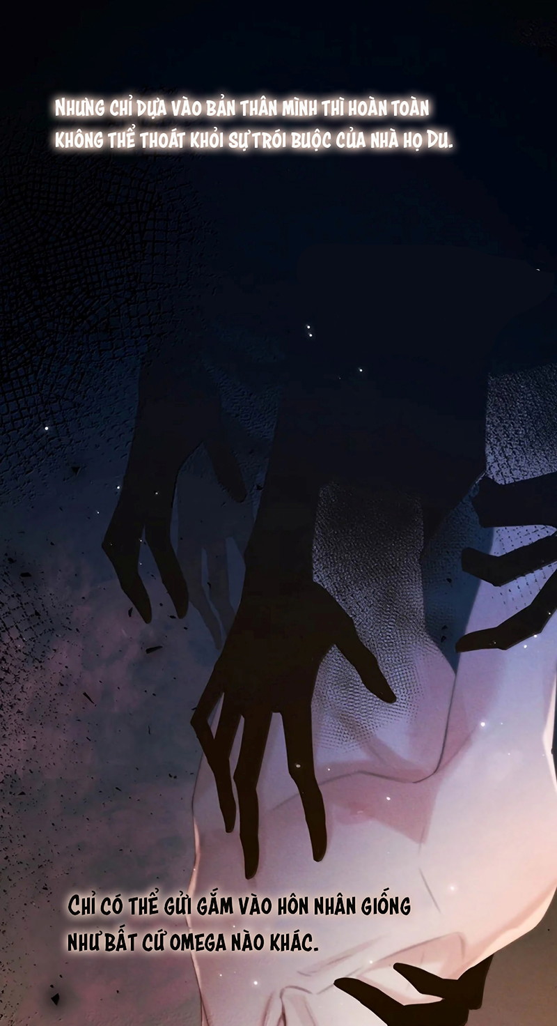 Nồng Đậm Tin Tức Tố Chapter 46 - Next Chapter 47