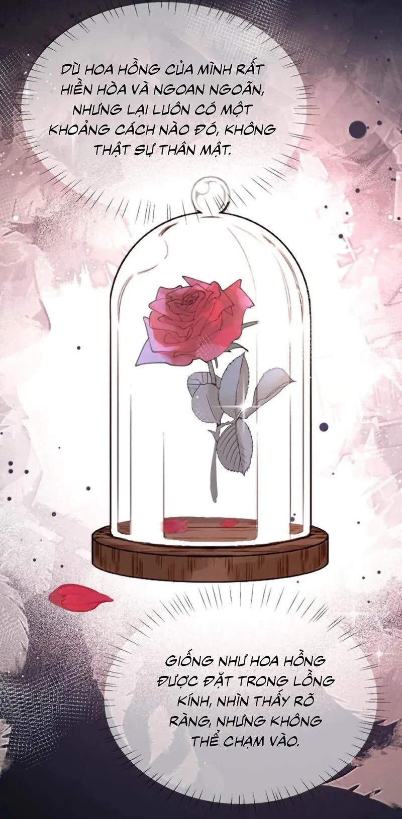 Nồng Đậm Tin Tức Tố Chapter 47 - Next 