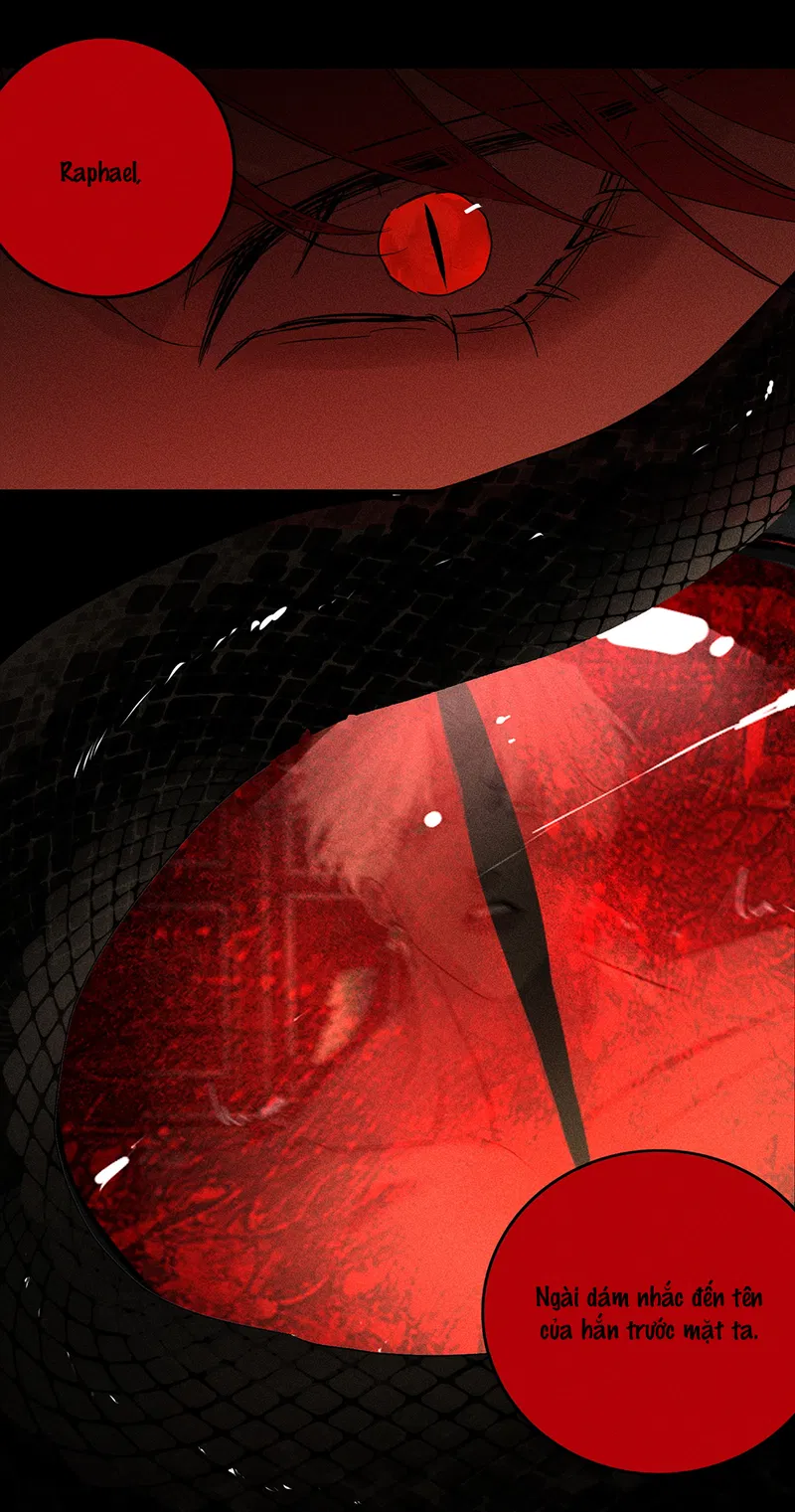 BẤT QUY TẮC Chapter 24 - Next 