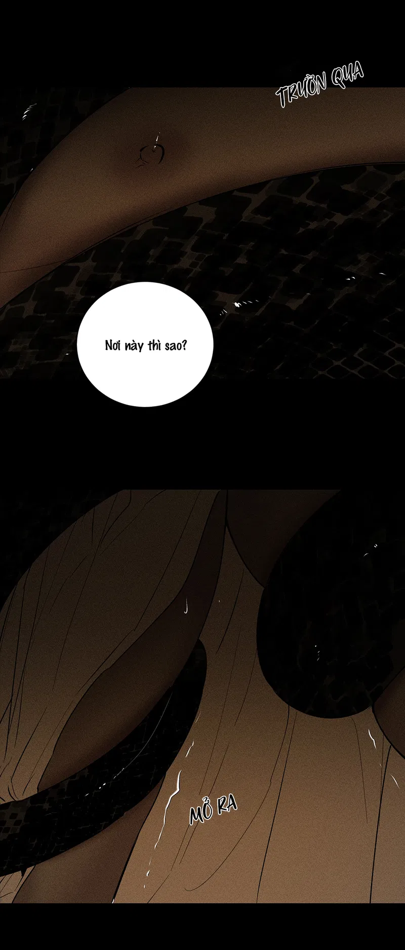 BẤT QUY TẮC Chapter 24 - Next 