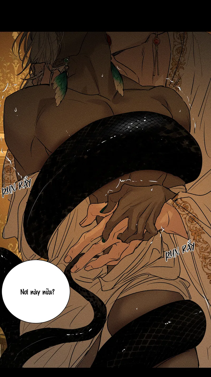 BẤT QUY TẮC Chapter 24 - Next 