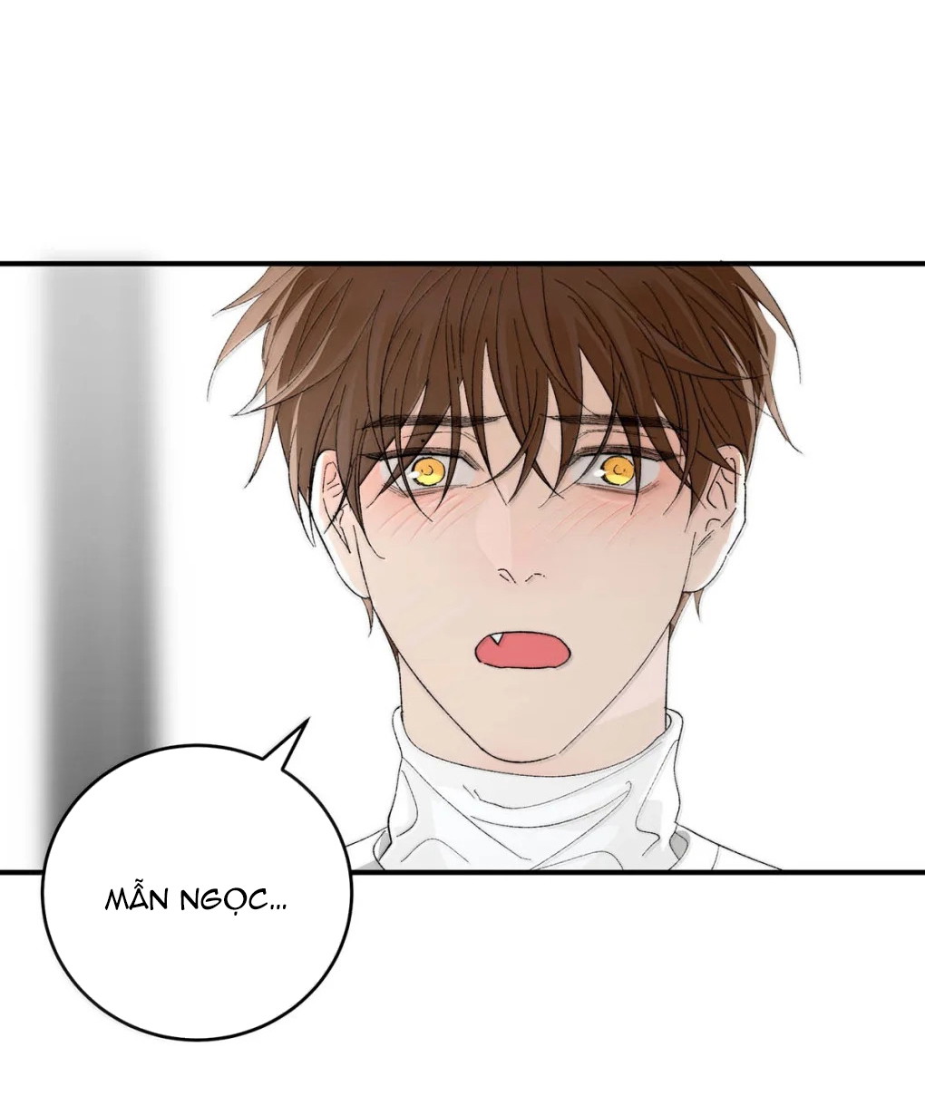 Chọc Quê Vương Tử Yandere Chapter 42 - Trang 2