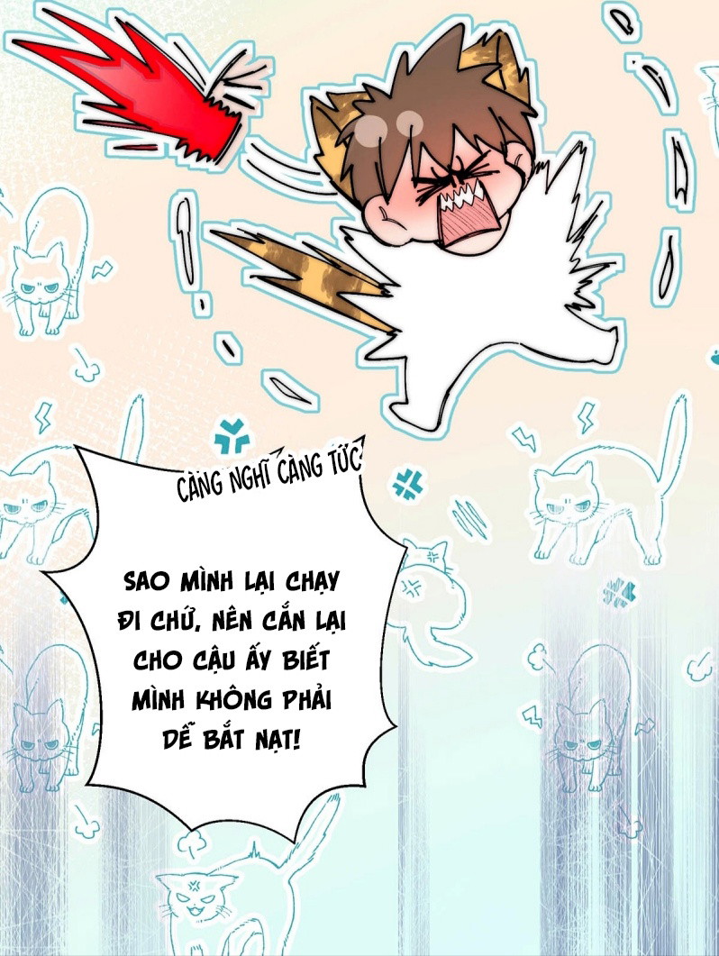 Mỗi Ngày Đều Muốn Làm Bệnh Kiều Vương Tử Xấu Hổ Tới Độn Thổ Chapter 41 - Trang 2