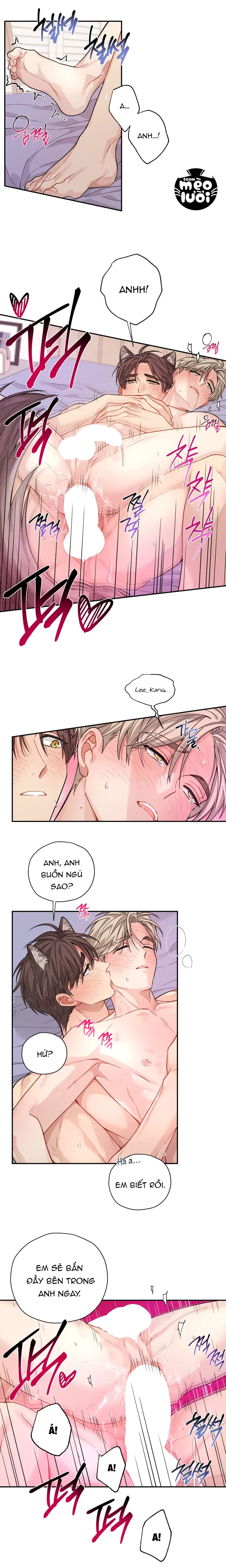 Tôi Không Phải Là Kẻ Khả Nghi (?) Đâu Chapter 33: H+ - Trang 2
