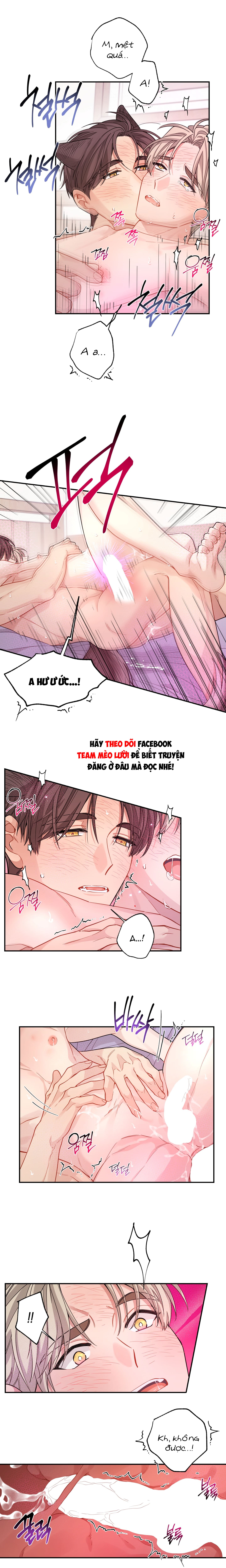 Tôi Không Phải Là Kẻ Khả Nghi (?) Đâu Chapter 33: H+ - Trang 2