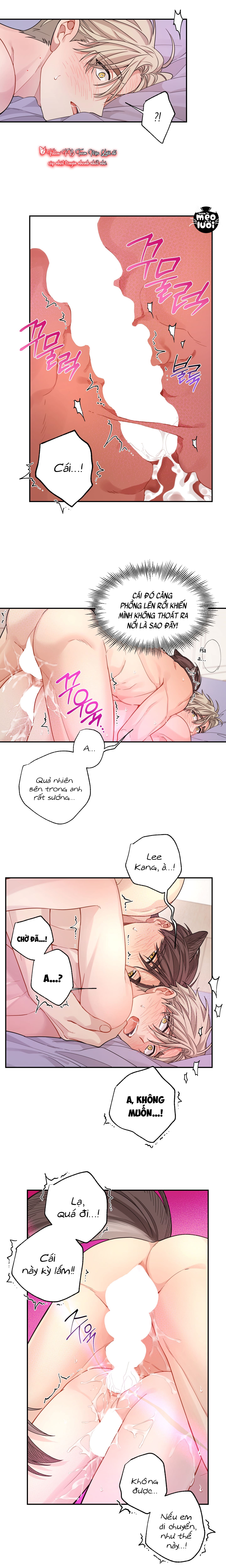 Tôi Không Phải Là Kẻ Khả Nghi (?) Đâu Chapter 33: H+ - Trang 2