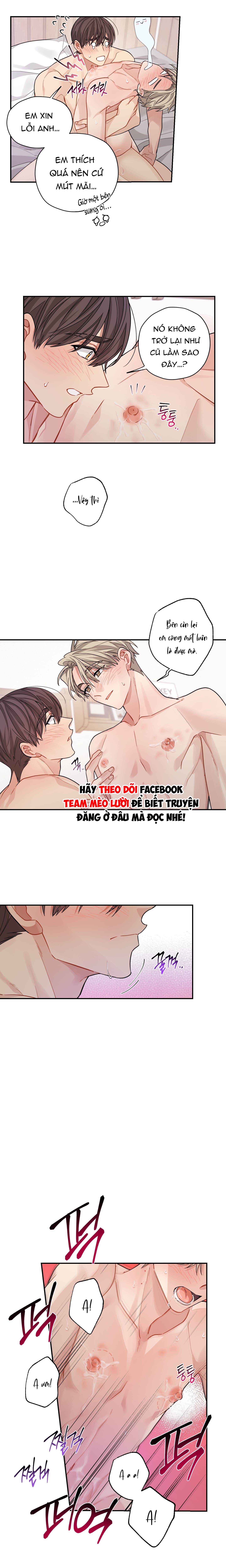 Tôi Không Phải Là Kẻ Khả Nghi (?) Đâu Chapter 42: H+ - Trang 2