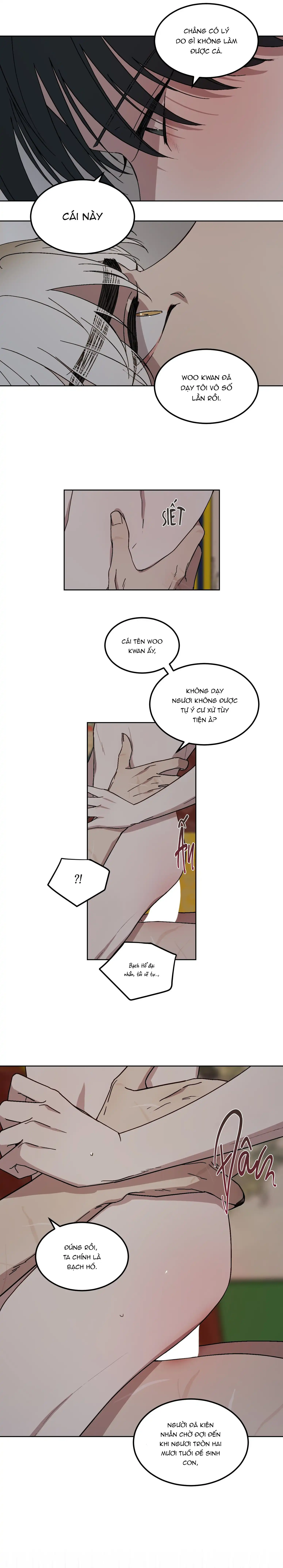 Bạch Hổ: Tình Yêu và Quyền Lực Chapter 5 H+ - Next Chapter 6