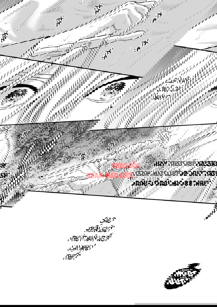 Hãy Quỳ Xuống Trước Mặt Ta, Anh hùng!? Chapter 16: Hoàng tử đã... - Trang 2