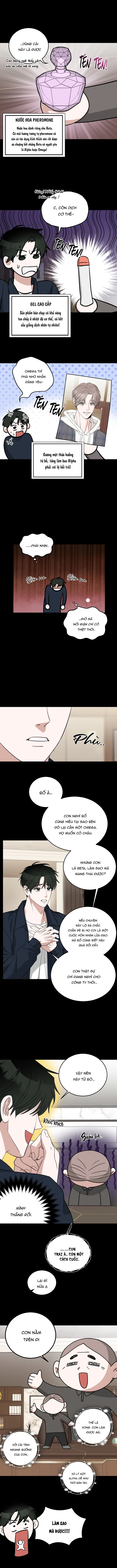 Tôi không phải Beta đâu nhé!? Chapter 1 H+ - Next Chapter 2 H+