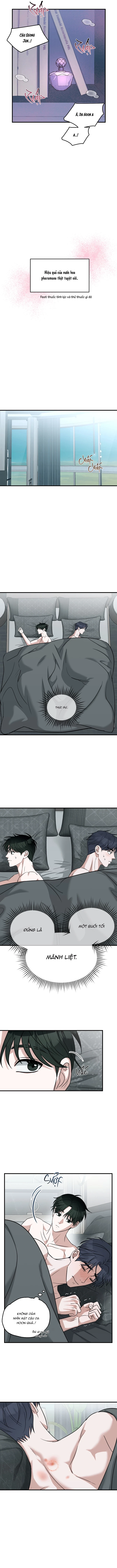 Tôi không phải Beta đâu nhé!? Chapter 3 H++ - Next Chapter 4 H+