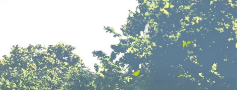 Sắc Thu Nơi Nghĩa Trang Chapter 39 - Trang 2