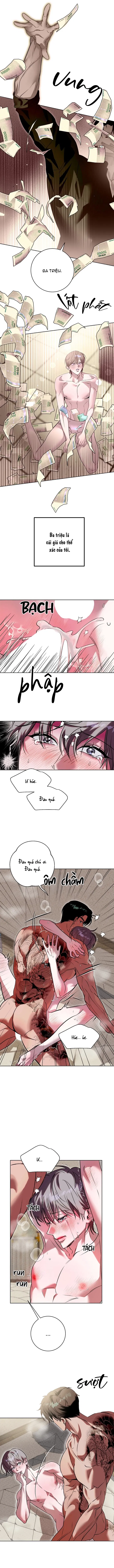 Quán Trà Ái Hoa Chapter 2 H++ - Next Chapter 3 H+