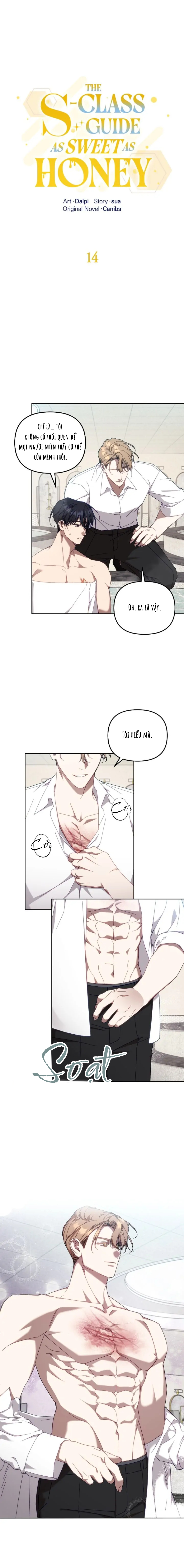 Guide cấp S ngọt ngào như mật ong Chapter 14 - Next 