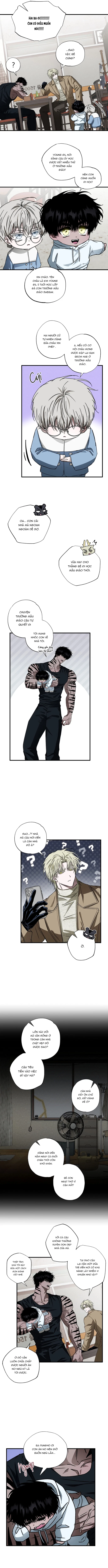 Mây Theo Rồng, Gió Theo Hổ Chapter 3 - Next Chapter 4