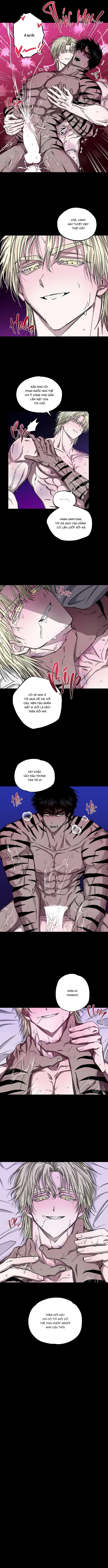 Mây Theo Rồng, Gió Theo Hổ Chapter 6 H++ - Next 