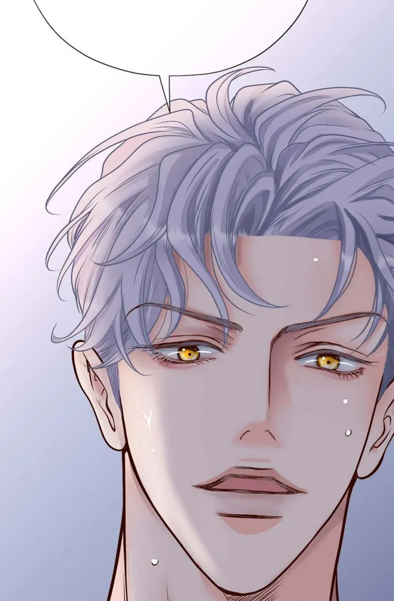 Tân Nương Của Bóng Đêm Chapter 24 - H+ - Trang 2