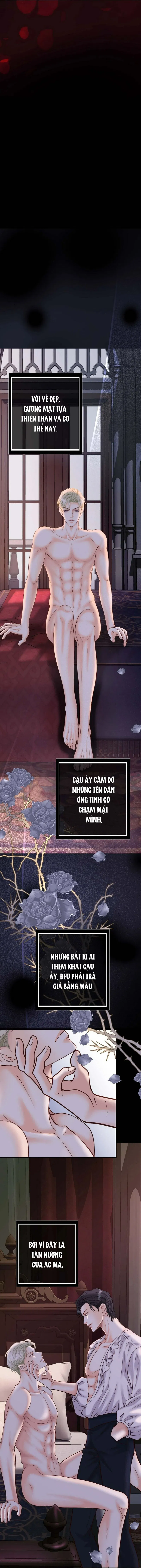 Tân Nương Của Bóng Đêm Chapter 39 - H+ - Next Chapter 40