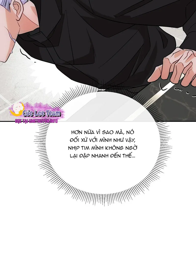 Xuyên Không Thành Con Ngỗng Vàng Của Lão Đại Alpha Chapter 11 - Next 