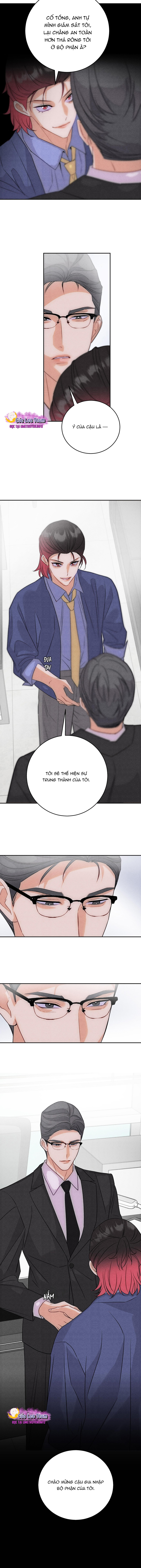 Xuyên Không Thành Con Ngỗng Vàng Của Lão Đại Alpha Chapter 30 - Trang 2