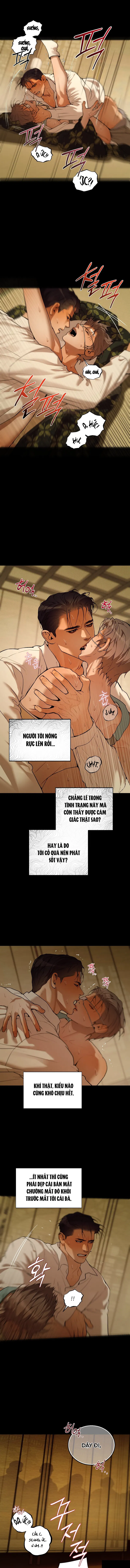 Thiếu Niên Sò: Khi Bình Minh Rực Cháy Chapter 17 - Trang 2