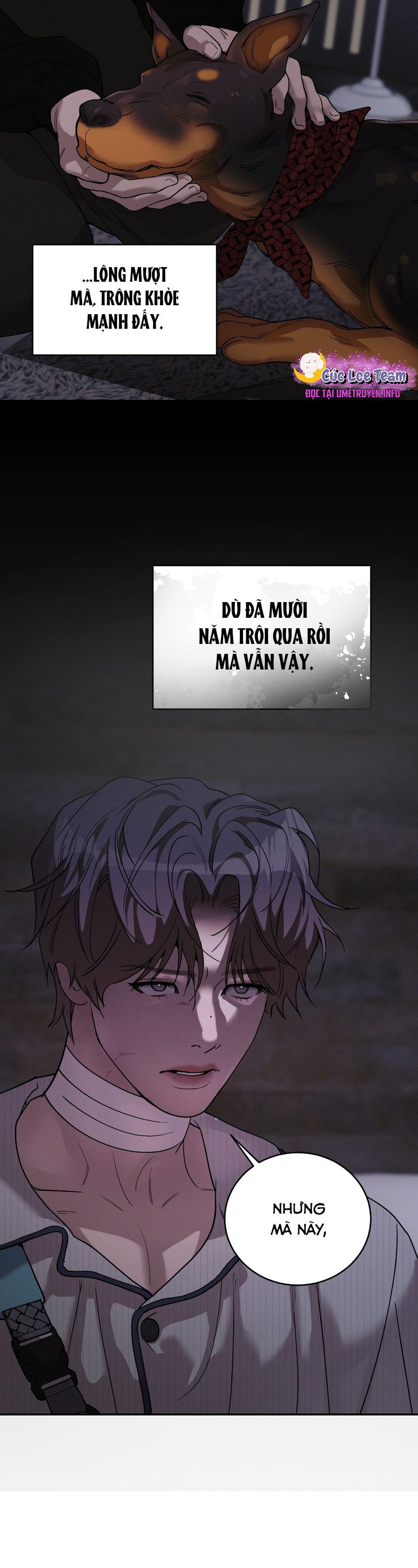 Thiếu Niên Sò: Khi Bình Minh Rực Cháy Chapter 18 - Trang 2