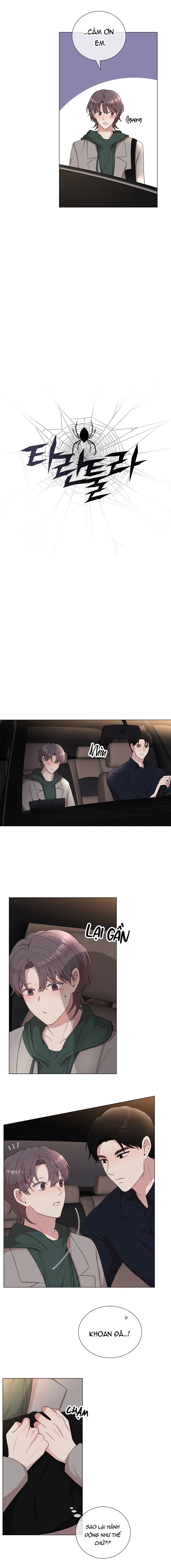 TARANTULA Chapter 21 - Next 