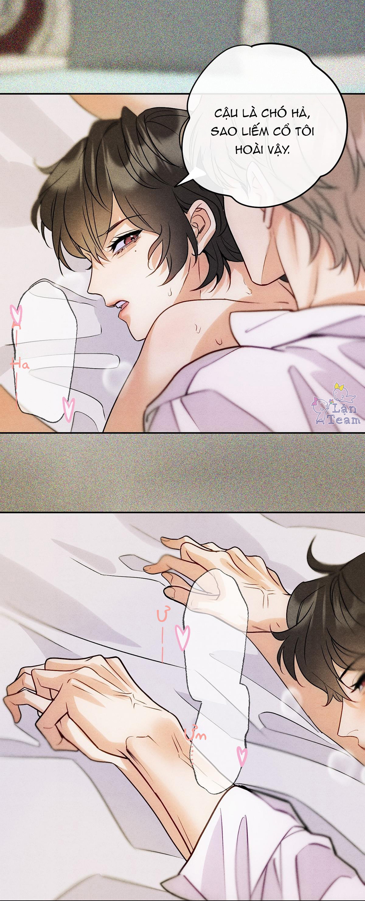 Xuyên Thành Sugar Baby Của Đại Ca Alpha Chapter 8 - Trang 2