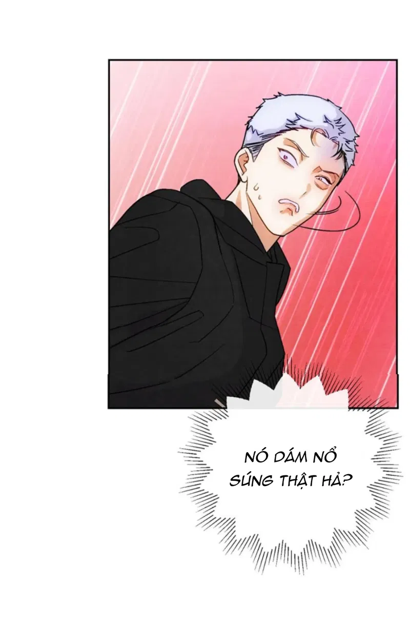 Xuyên Thành Sugar Baby Của Đại Ca Alpha Chapter 9 - Next Chapter 10