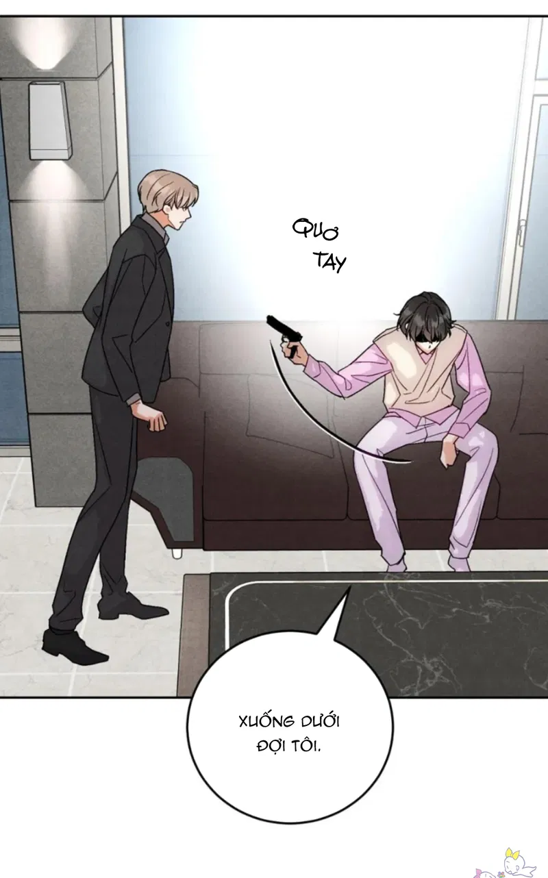 Xuyên Thành Sugar Baby Của Đại Ca Alpha Chapter 9 - Next Chapter 10