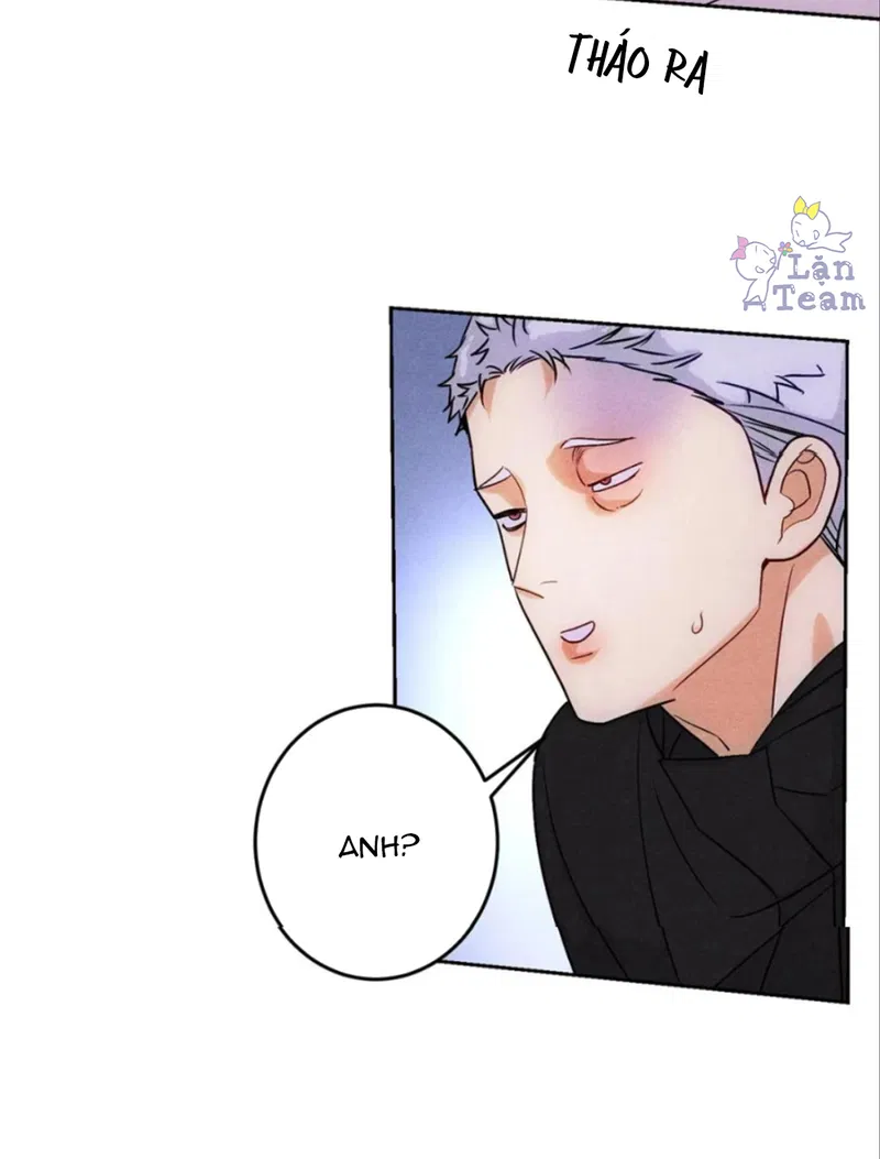 Xuyên Thành Sugar Baby Của Đại Ca Alpha Chapter 9 - Next Chapter 10