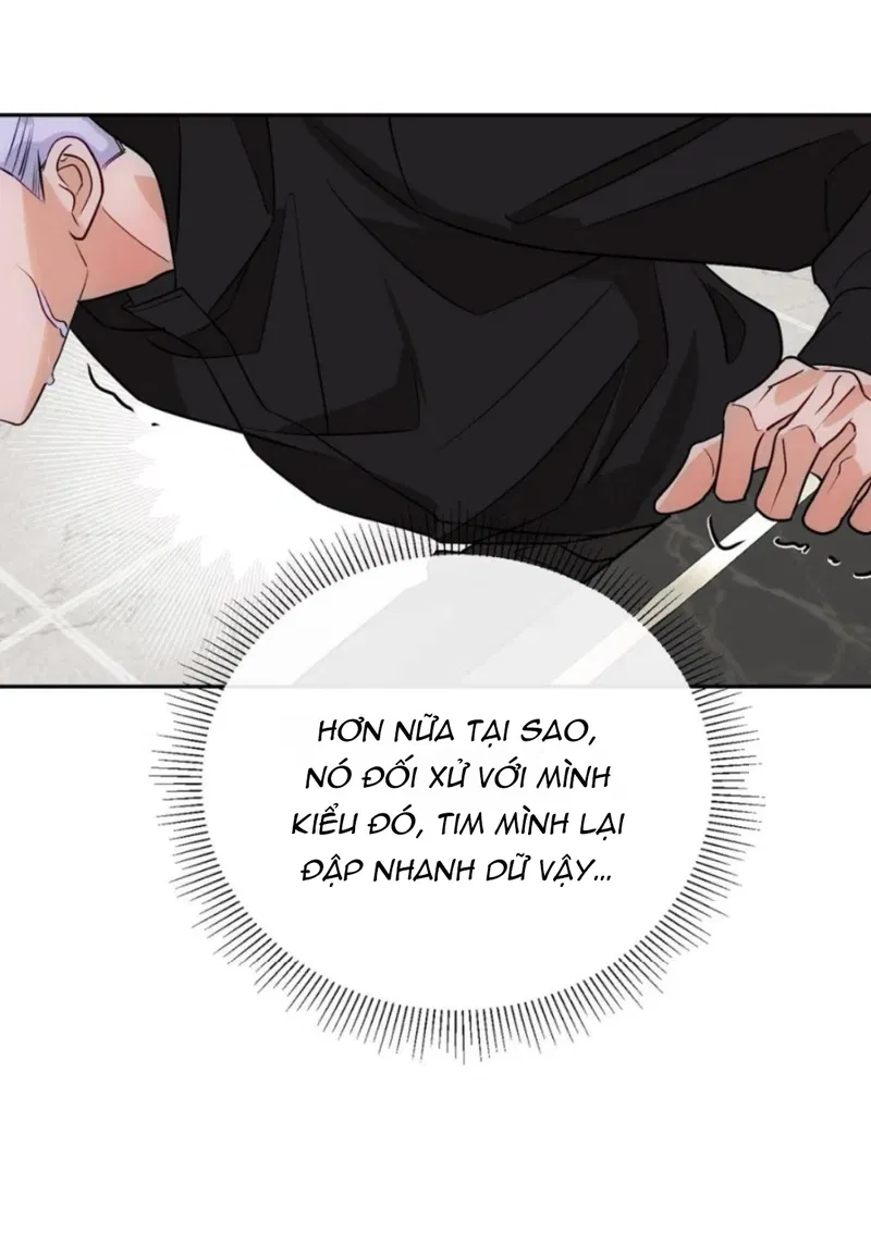 Xuyên Thành Sugar Baby Của Đại Ca Alpha Chapter 9 - Next Chapter 10