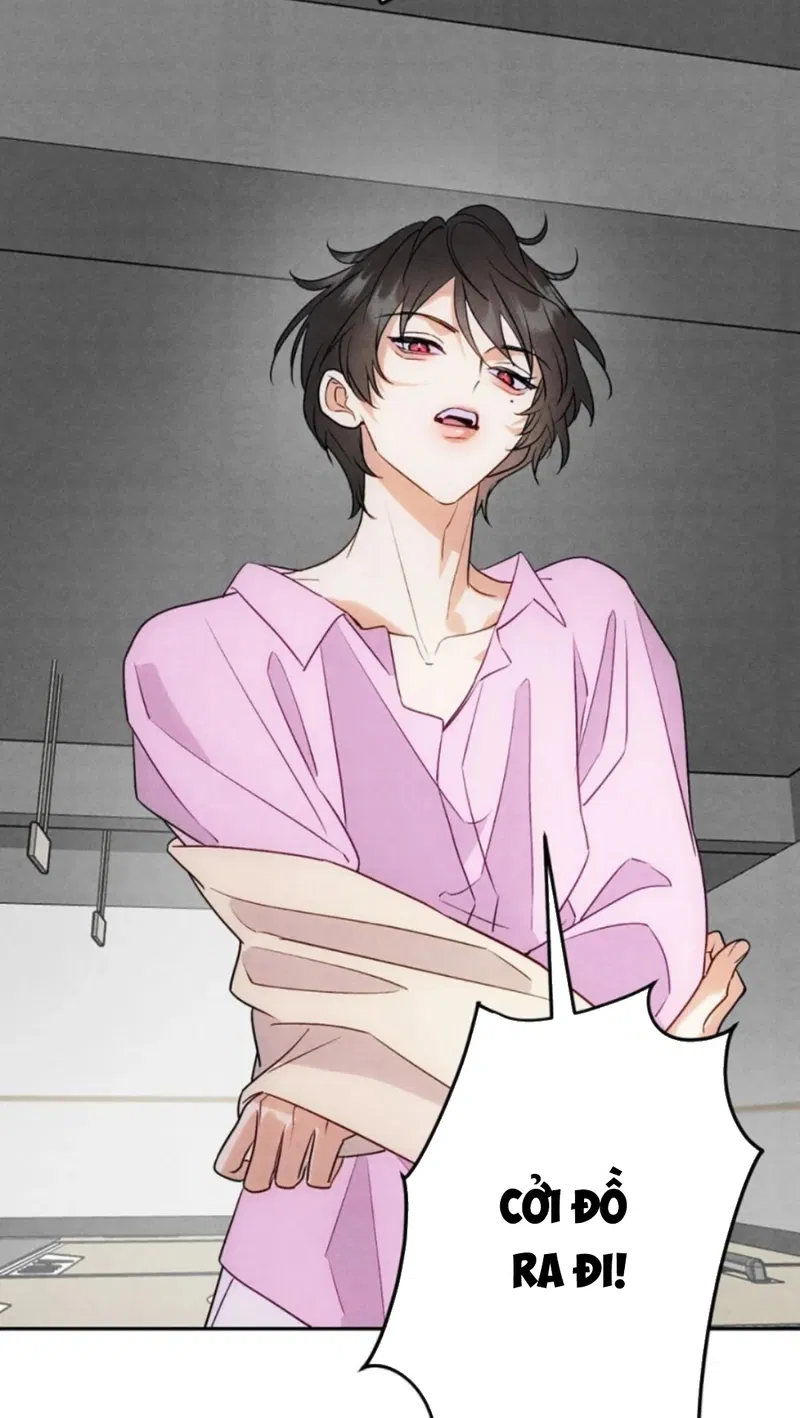 Xuyên Thành Sugar Baby Của Đại Ca Alpha Chapter 9 - Next Chapter 10