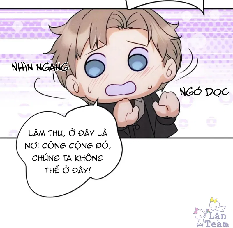 Xuyên Thành Sugar Baby Của Đại Ca Alpha Chapter 9 - Next Chapter 10
