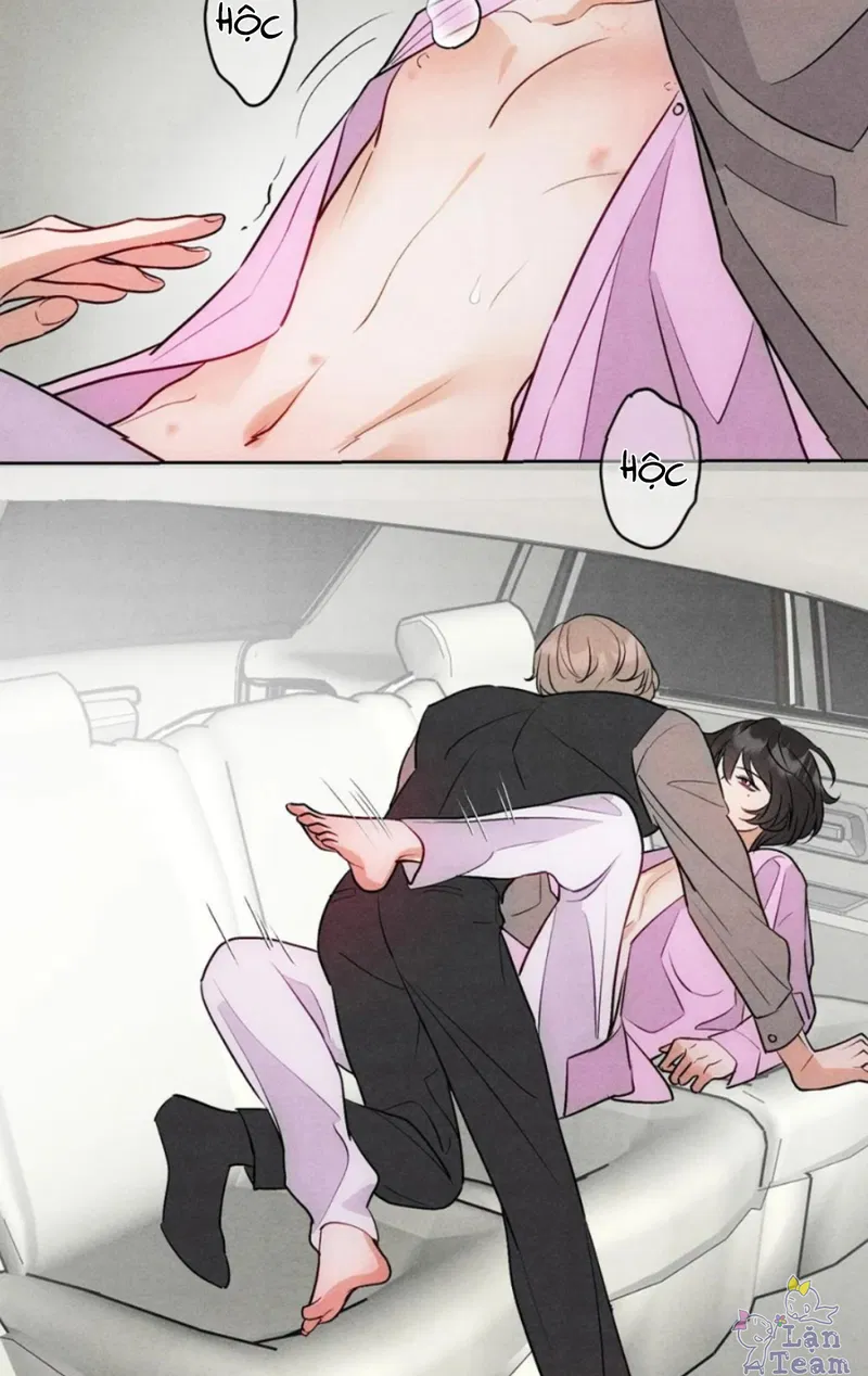 Xuyên Thành Sugar Baby Của Đại Ca Alpha Chapter 11 - Next Chapter 12