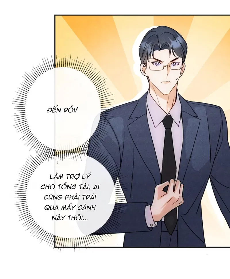 Xuyên Thành Sugar Baby Của Đại Ca Alpha Chapter 12 - Trang 2