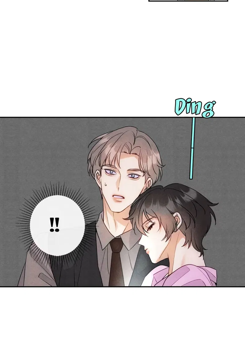 Xuyên Thành Sugar Baby Của Đại Ca Alpha Chapter 12 - Trang 2