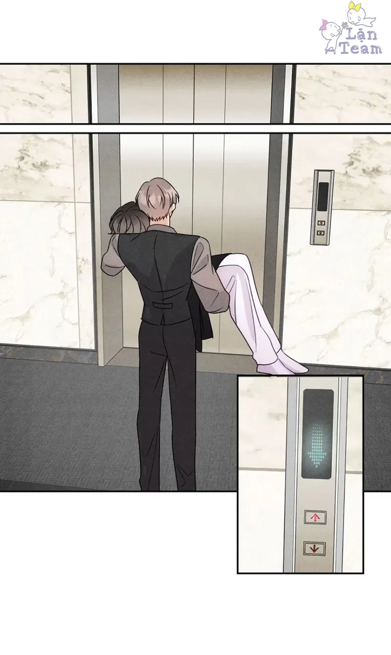 Xuyên Thành Sugar Baby Của Đại Ca Alpha Chapter 12 - Trang 2