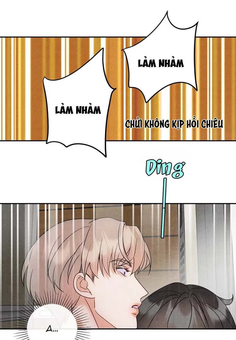Xuyên Thành Sugar Baby Của Đại Ca Alpha Chapter 12 - Trang 2